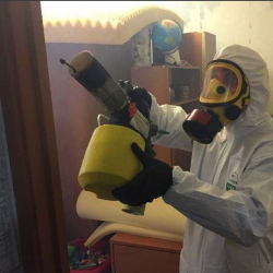 Уничтожение клопов в квартире. Ховрино
